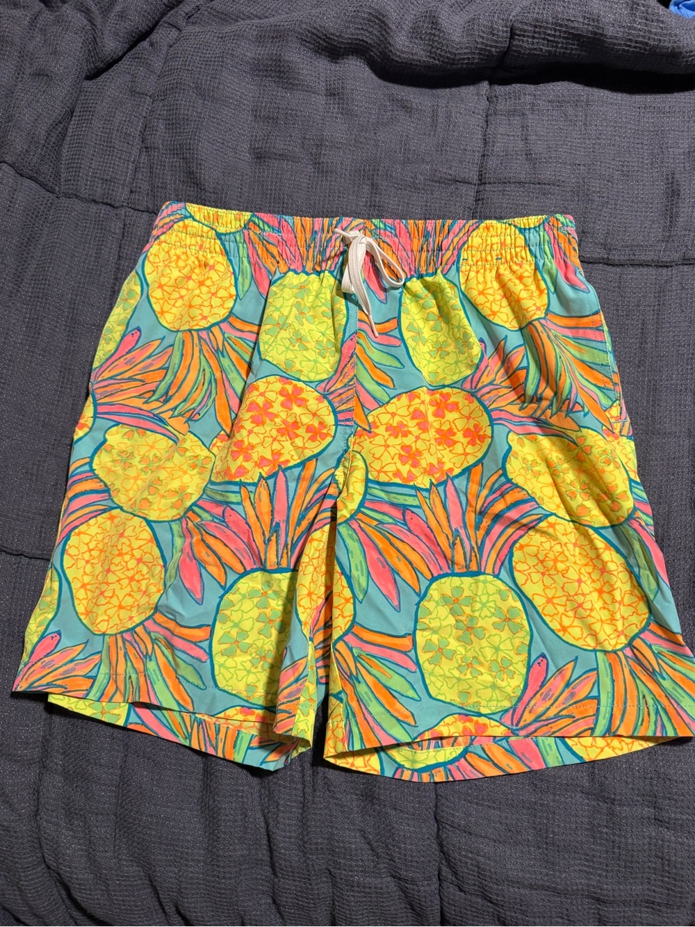 Chubbiess Large Colorful Vintage Swim Trunks - Bright Multicolor